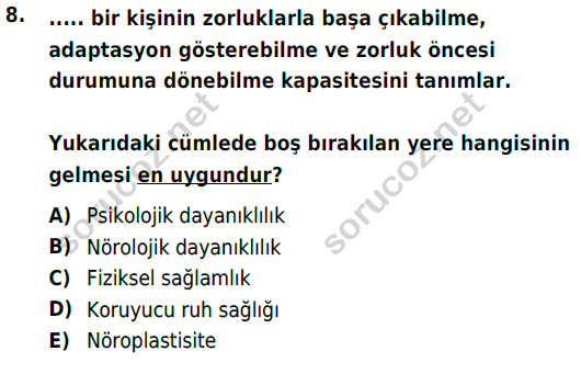 auzef cocukgelisimlisans 82 8