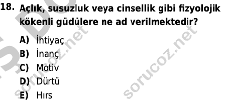 auzef 002865