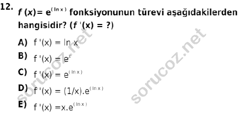 auzef 002979