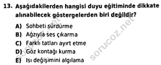 auzef cocukgelisimlisans 97 13