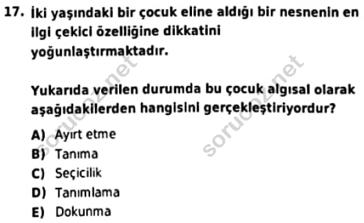 auzef cocukgelisimlisans 97 17