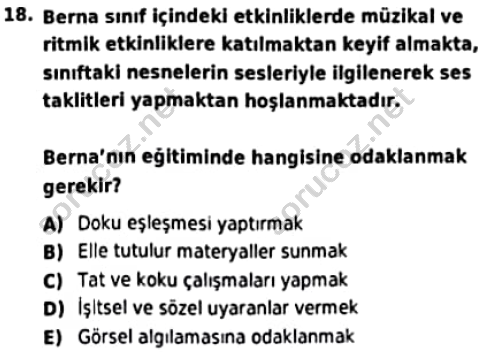 auzef cocukgelisimlisans 97 18