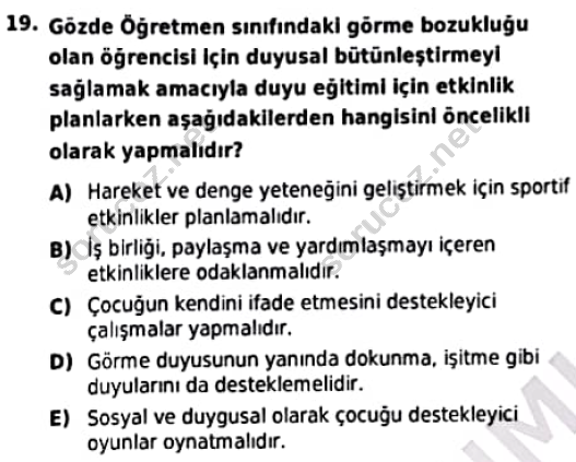 auzef cocukgelisimlisans 97 19