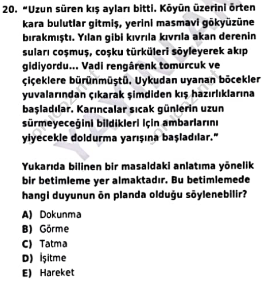 auzef cocukgelisimlisans 97 20