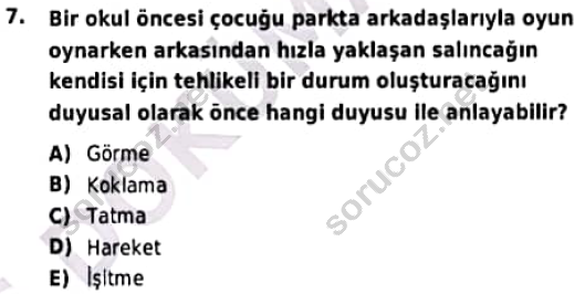 auzef cocukgelisimlisans 97 7