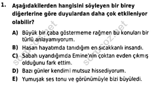 auzef cocukgelisimlisans 97 1