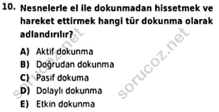 auzef cocukgelisimlisans 97 10