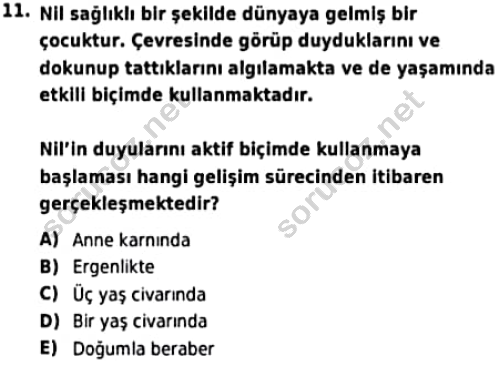 auzef cocukgelisimlisans 97 11