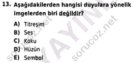 auzef cocukgelisimlisans 97 13