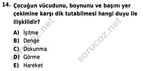 auzef cocukgelisimlisans 97 14