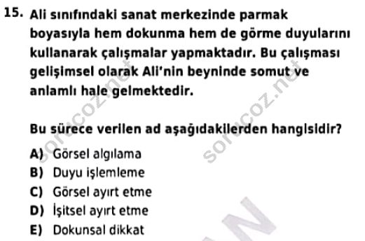 auzef cocukgelisimlisans 97 15