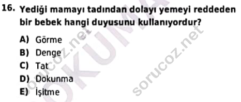 auzef cocukgelisimlisans 97 16