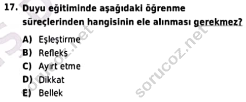 auzef cocukgelisimlisans 97 17