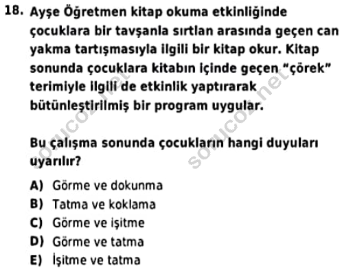 auzef cocukgelisimlisans 97 18