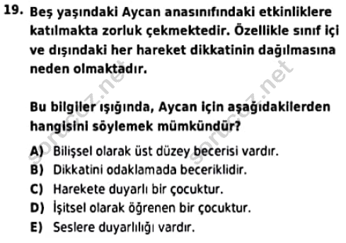 auzef cocukgelisimlisans 97 19