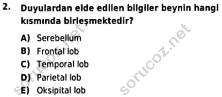 auzef cocukgelisimlisans 97 2