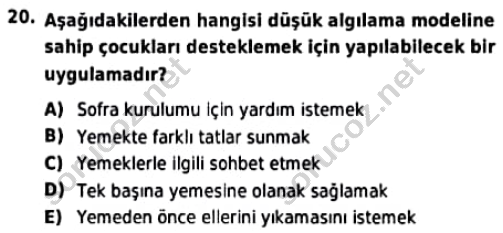 auzef cocukgelisimlisans 97 20