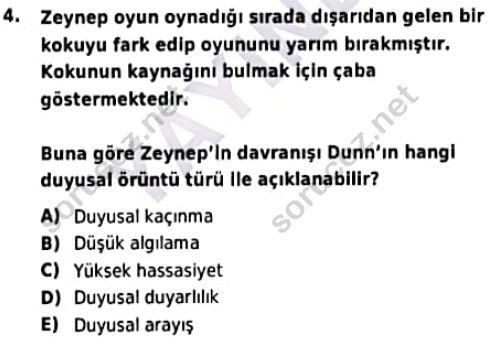 auzef cocukgelisimlisans 97 4