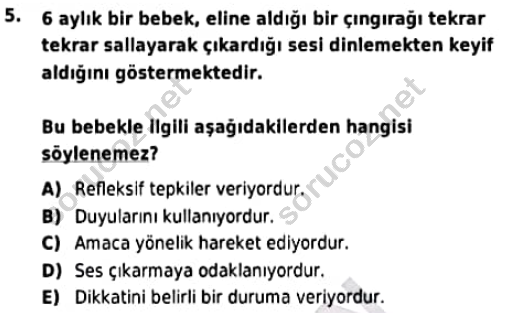 auzef cocukgelisimlisans 97 5