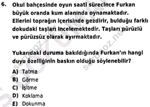 auzef cocukgelisimlisans 97 6