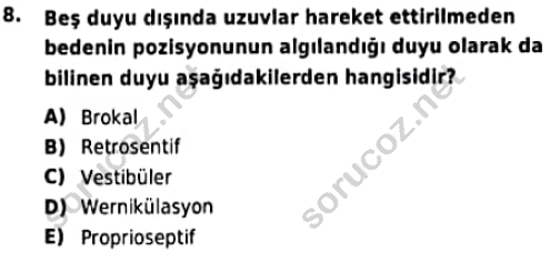 auzef cocukgelisimlisans 97 8