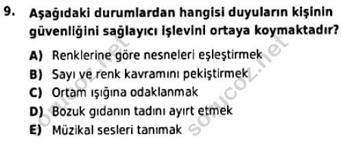 auzef cocukgelisimlisans 97 9