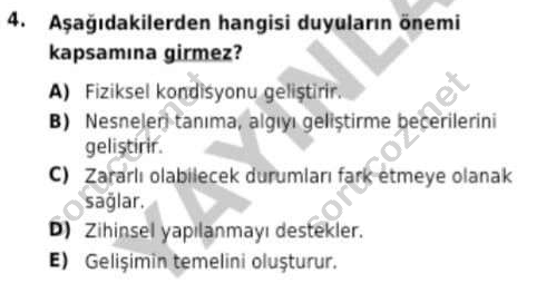 auzef cocukgelisimlisans 97 4