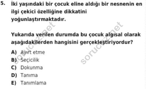 auzef cocukgelisimlisans 97 5