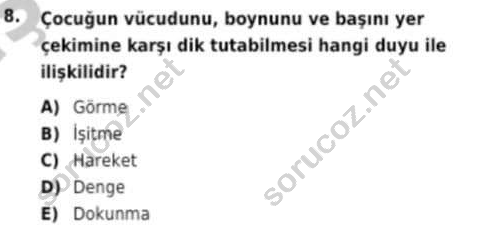 auzef cocukgelisimlisans 97 8