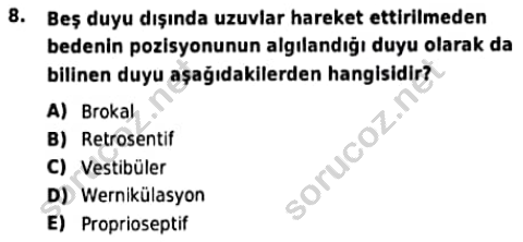 auzef 001684