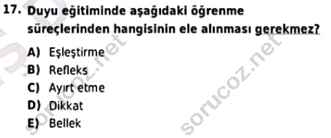 auzef 001693