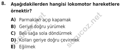 auzef cocukgelisimlisans 83 8