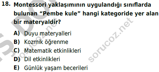 auzef cocukgelisimlisans 73 18