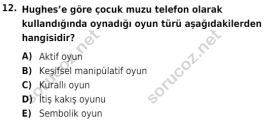 auzef cocukgelisimlisans 73 12