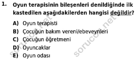 auzef cocukgelisimlisans 98 1