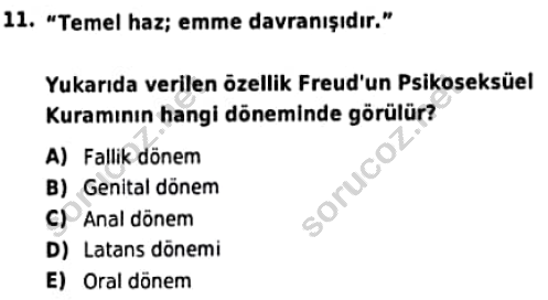 auzef cocukgelisimlisans 98 11