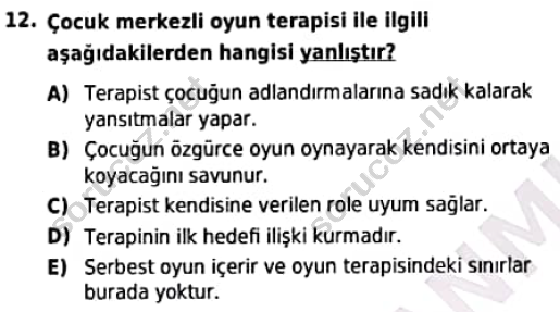 auzef cocukgelisimlisans 98 12