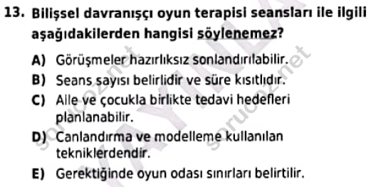 auzef cocukgelisimlisans 98 13