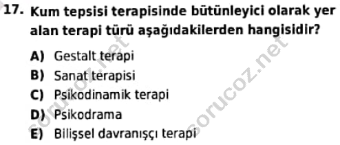 auzef cocukgelisimlisans 98 17