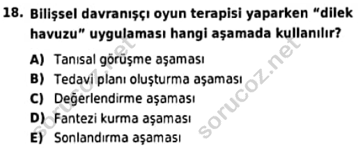 auzef cocukgelisimlisans 98 18