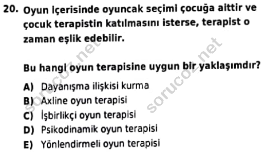 auzef cocukgelisimlisans 98 20