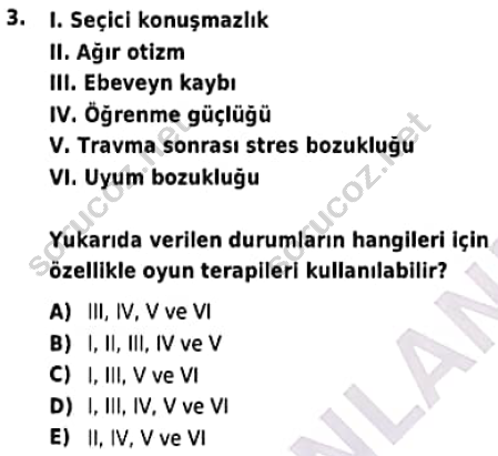 auzef cocukgelisimlisans 98 3