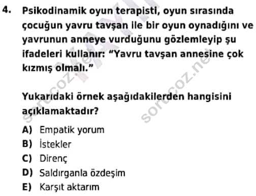 auzef cocukgelisimlisans 98 4