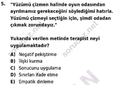 auzef cocukgelisimlisans 98 5