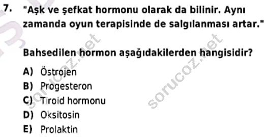 auzef cocukgelisimlisans 98 7