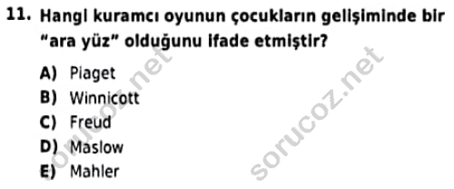 auzef cocukgelisimlisans 98 11