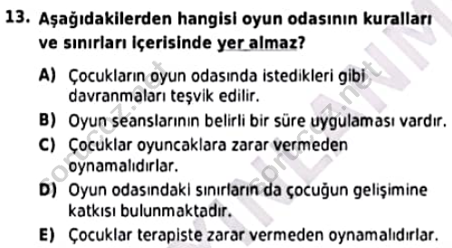 auzef cocukgelisimlisans 98 13