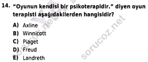 auzef cocukgelisimlisans 98 14