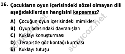 auzef cocukgelisimlisans 98 16