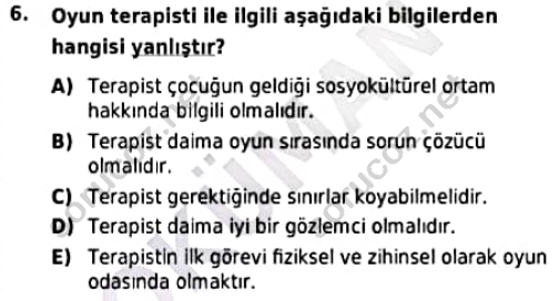 auzef cocukgelisimlisans 98 6